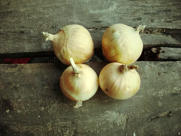 Primer plano de cebollas frescas —  Fotos de Stock