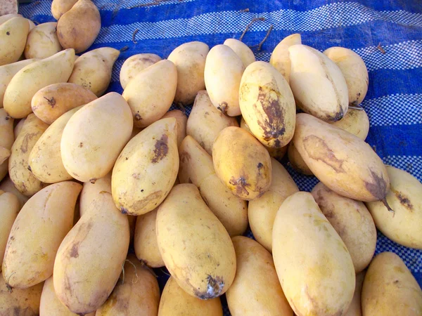 Mango maduro . — Foto de Stock