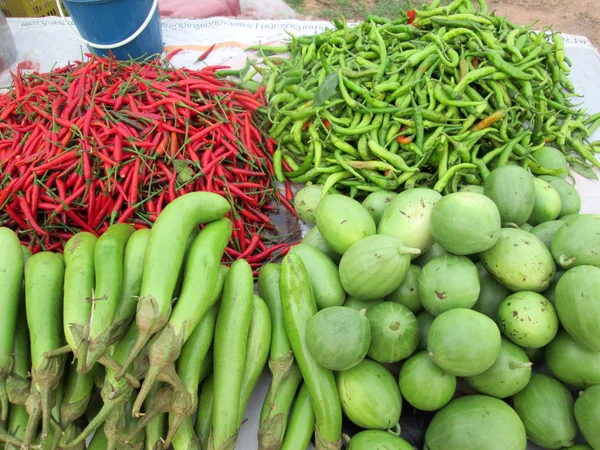 Vegetal — Fotografia de Stock