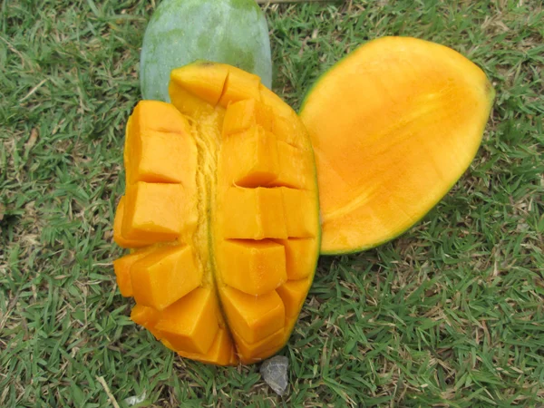 Mango — Stockfoto