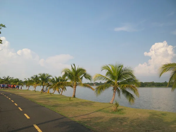 Carretera para bicicletas —  Fotos de Stock