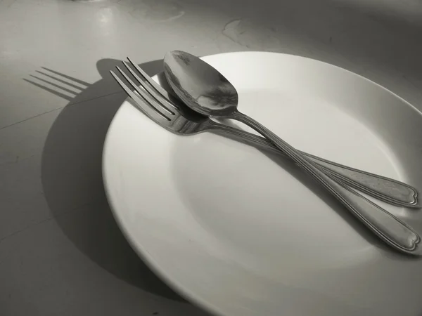 The dish — Stock Photo, Image