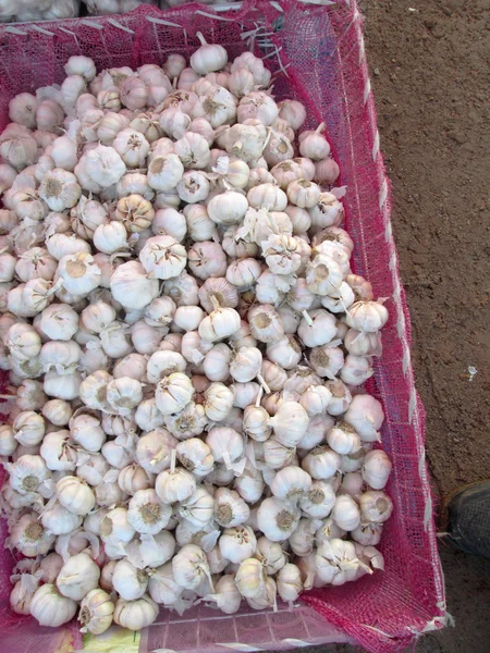 Garlic — Stock Photo, Image