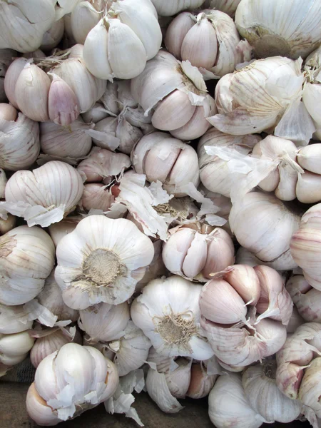 Garlic — Stock Photo, Image