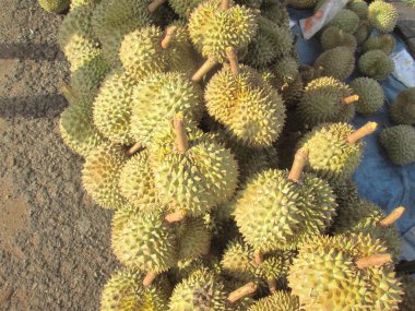 Durian.