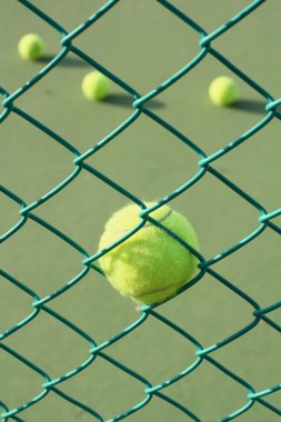 Tenis topu 
