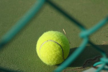 Tenis topu