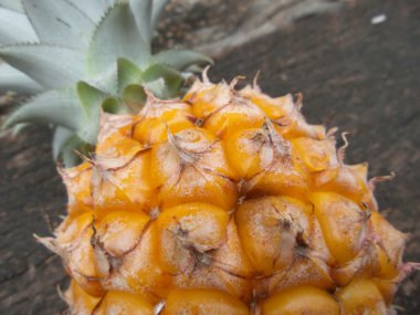 Ananas. 