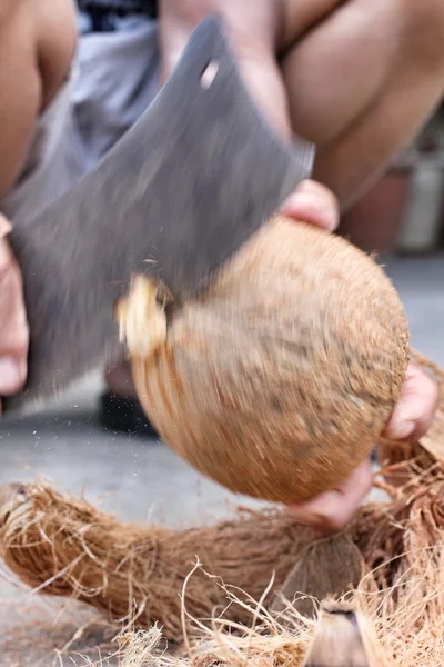 Cogumelos — Fotografia de Stock