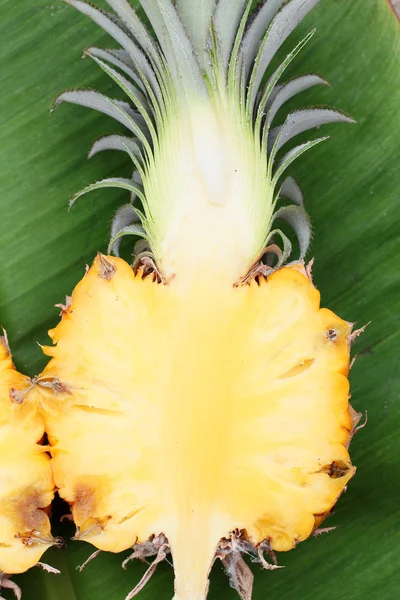 Pineapple — Stock Photo, Image