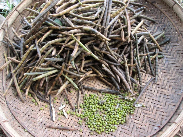 Green beans — Stock Photo, Image