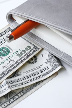 Amerikan Doları para ile kitap 