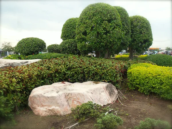 Jardín Inglés —  Fotos de Stock