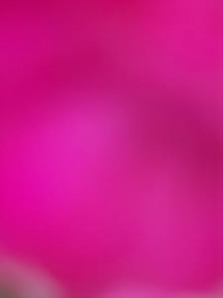 Fiore rosa sfocato — Foto Stock