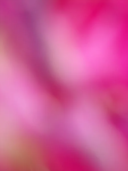 Verschwommene rosa Blume — Stockfoto