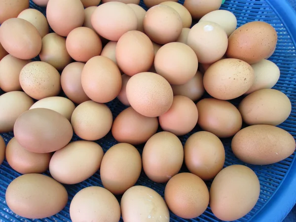 Brown eggs — Stock Photo, Image