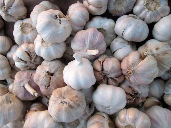 Knoblauch — Stockfoto