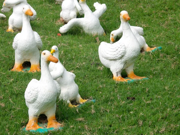 Cisne familiar — Foto de Stock