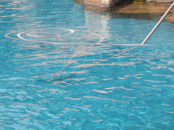 Cleaning swimming pool — Stock Photo, Image