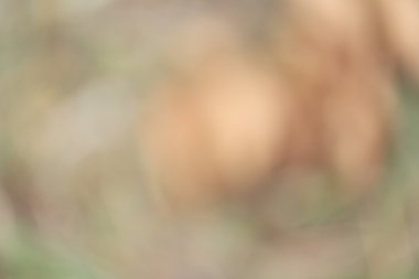 bulanık vintagel arka plan 