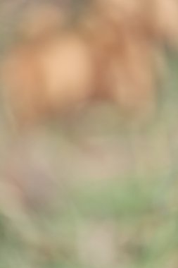 bulanık vintagel arka plan 