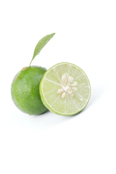 Зеленый лимон — стоковое фото