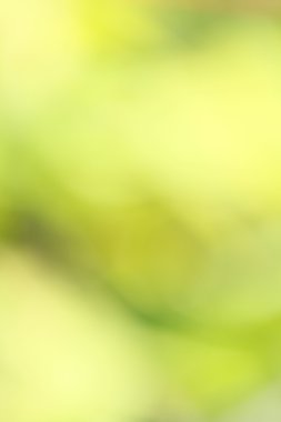 bulanık doğa arka plan