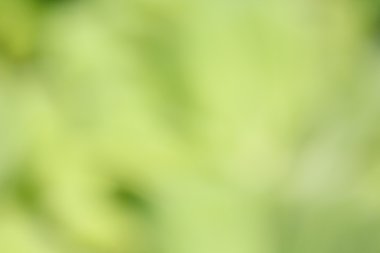 bulanık doğa arka plan