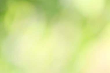 bulanık doğa arka plan