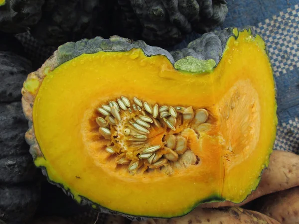 Calabaza verde —  Fotos de Stock