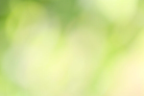 blurred nature background