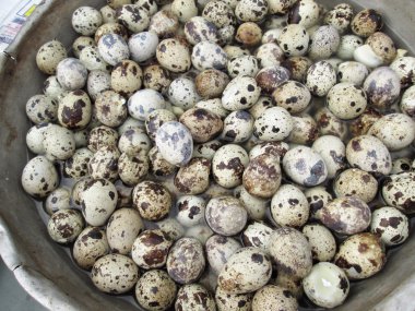  bıldırcın yumurtası