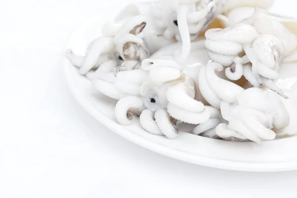 Squid — Stock Photo, Image