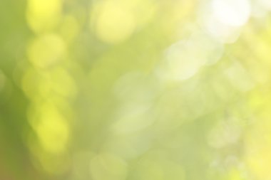 bulanık doğa arka plan