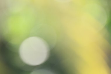 bulanık doğa arka plan