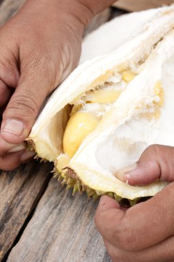 Durian.