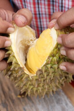 Durian.