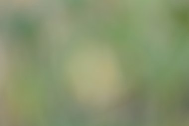 bulanık doğa arka plan