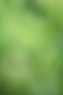 bulanık doğa arka plan