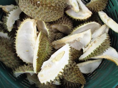 Durian.