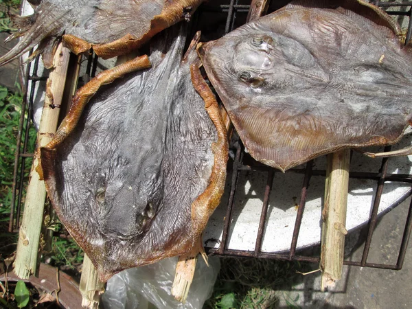 Raya de barbacoa — Foto de Stock