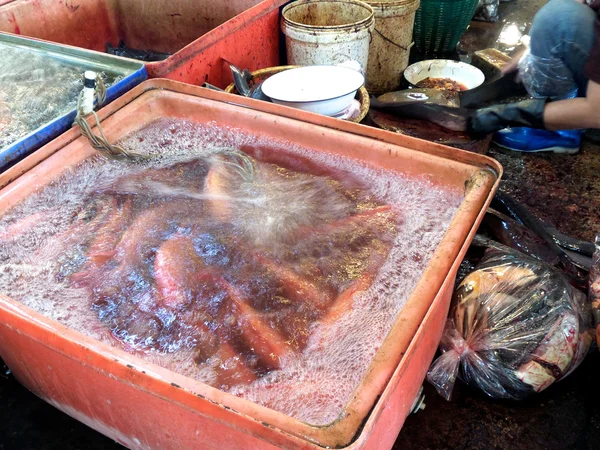 Pescado fresco — Foto de Stock