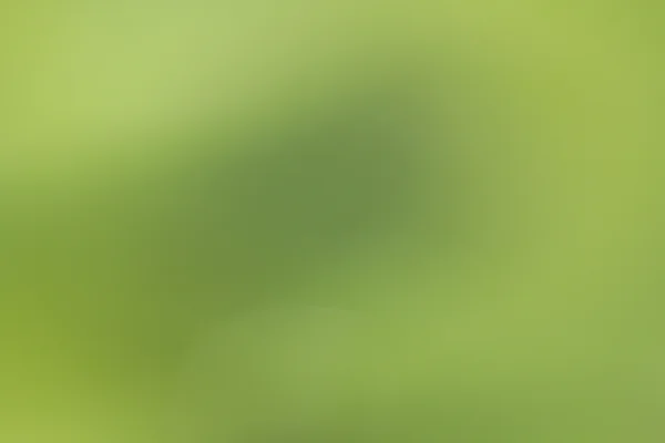 Blurred nature background — Stock Photo, Image