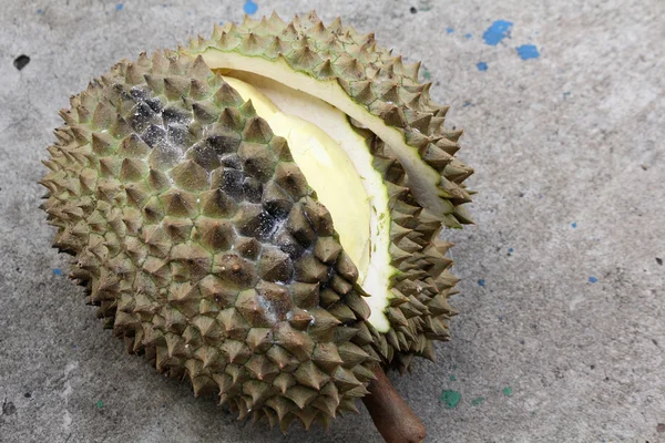 Durian. — Stock Photo, Image