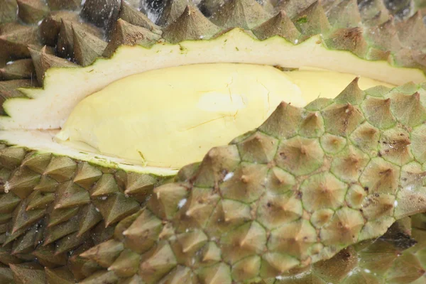 Durian. — Zdjęcie stockowe