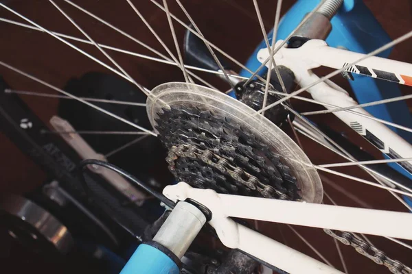 Close Gear Bicycle Wheel — Stock Photo, Image