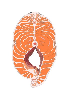 Beyaz arka planda taze çiğ somon bifteğinin gösterimi