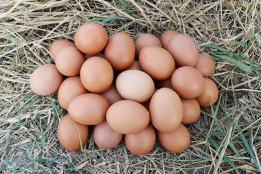 Kurumuş çimenlerin üzerinde taze yumurtalar.