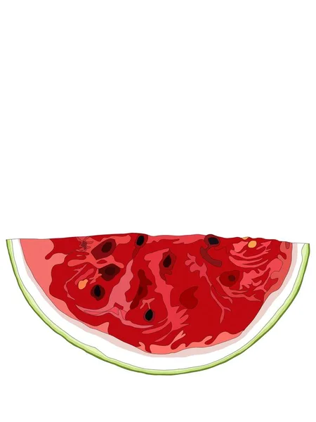 Illustratie Van Rode Watermeloen Zomer Fruit — Stockfoto