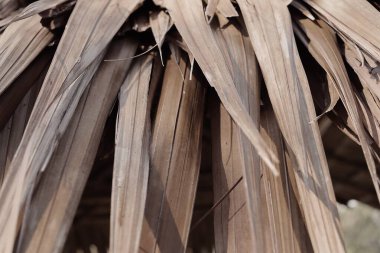 Beautiful of brown dried leaves background or texture